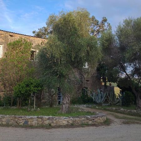 Domaine Ostriconi Bed & Breakfast Palasca  Bagian luar foto