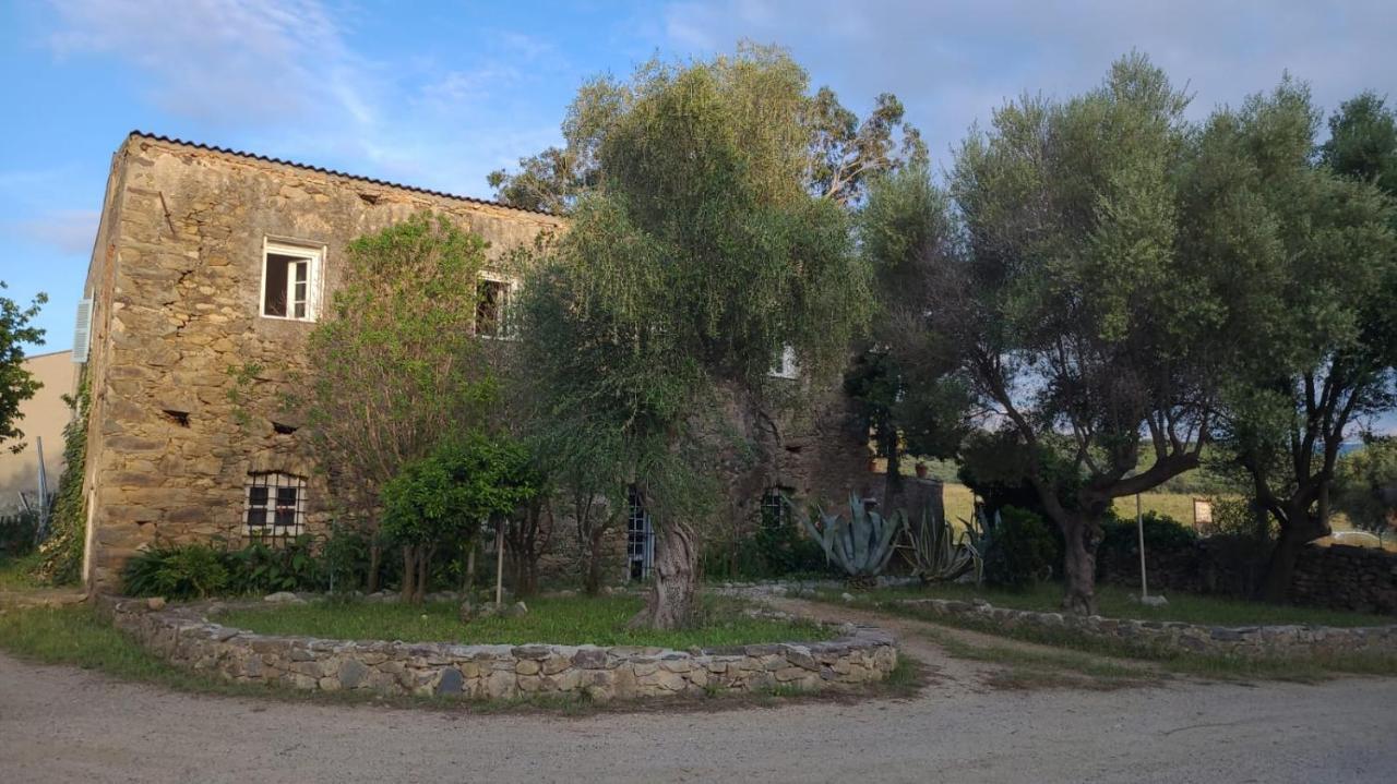 Domaine Ostriconi Bed & Breakfast Palasca  Bagian luar foto